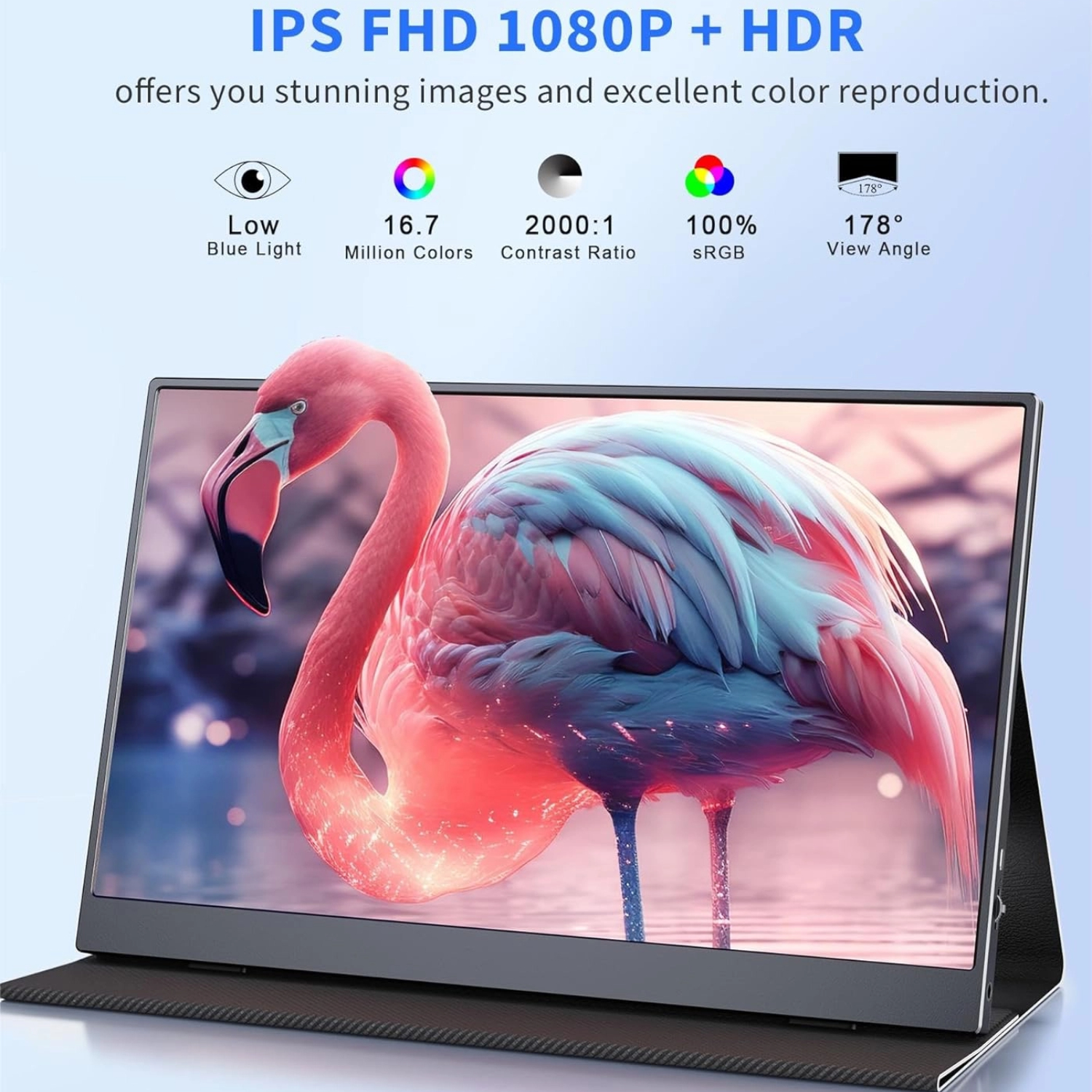 15.6 Inch Portable Monitor 108 – Pc Gaming Asus Bewertung und Preis